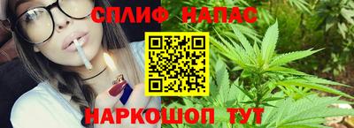 a pvp Бийск