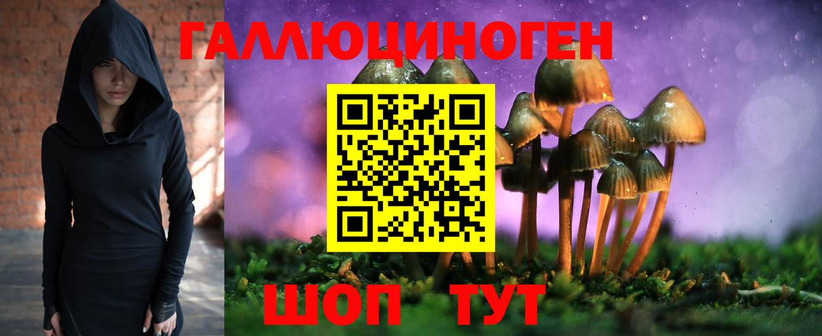Галлюциногенные грибы прущие грибы  Вход с VPN  Псилоцибиновые грибы ЛСД  Кизилюрт 